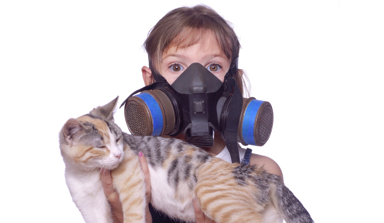 Аллергия на домашних животных
