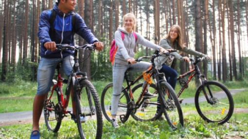«Крутящий момент» в Берёзовском: местные СМИ проведут велопрогулку по лесу в районе Шиловского пруда