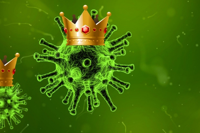 В Екатеринбурге подтвердили пять новых случаев коронавируса