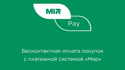 Mir Pay: гайд, как оплачивать покупки смартфоном без привычных платежных систем
