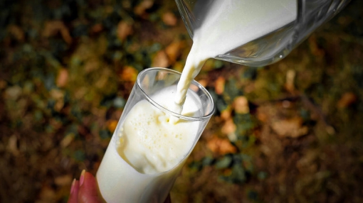 Не только пить и в кофе добавлять: как применять молоко в огороде