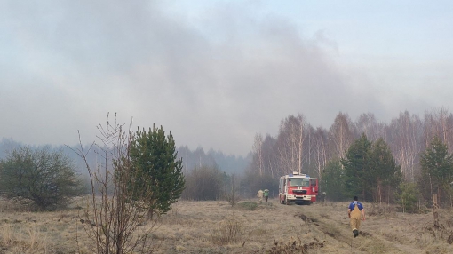 Торфяной пожар в Безречном летом 2022. Фото Евгения Писцова