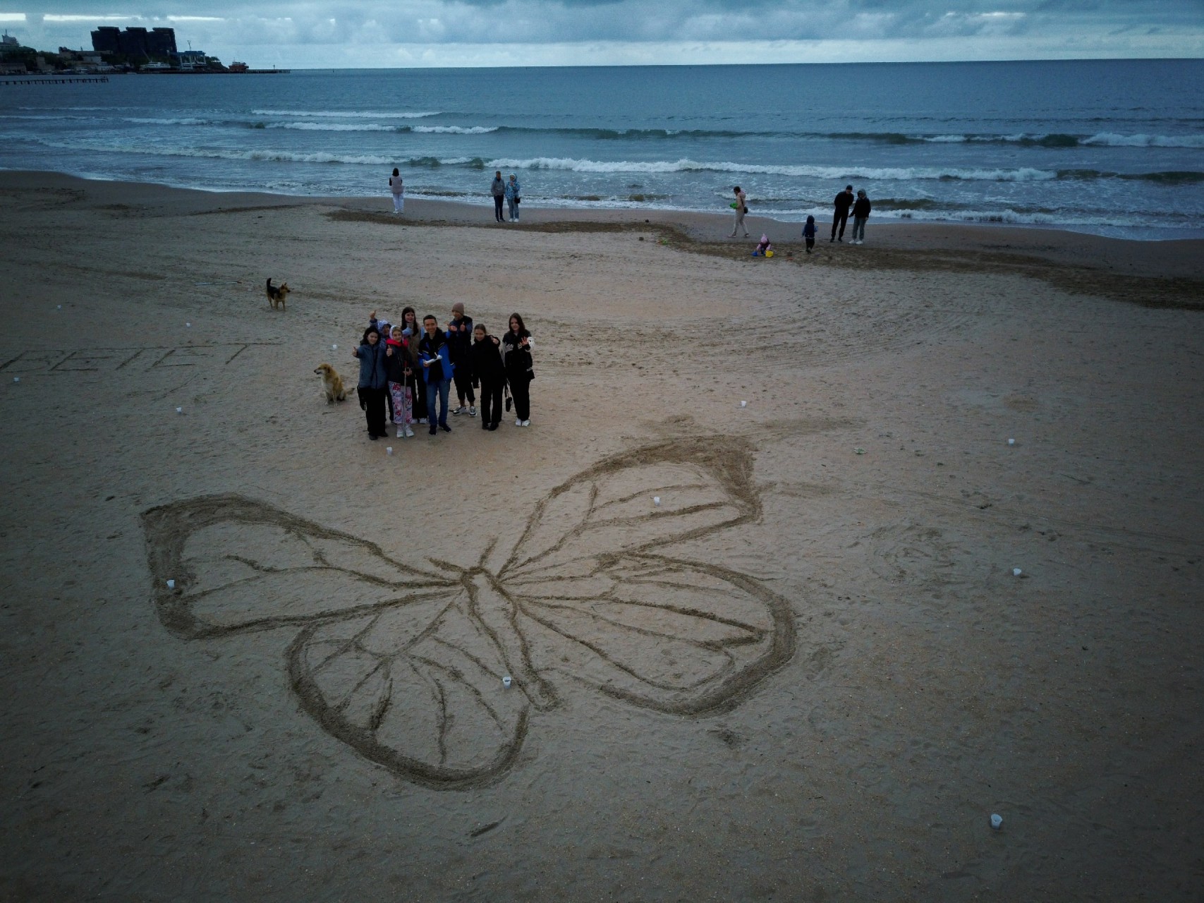Бабочка на песке