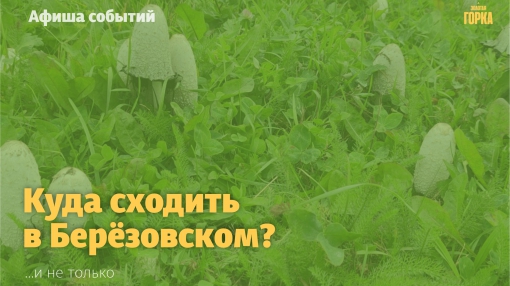 Куда сходить в Берёзовском?