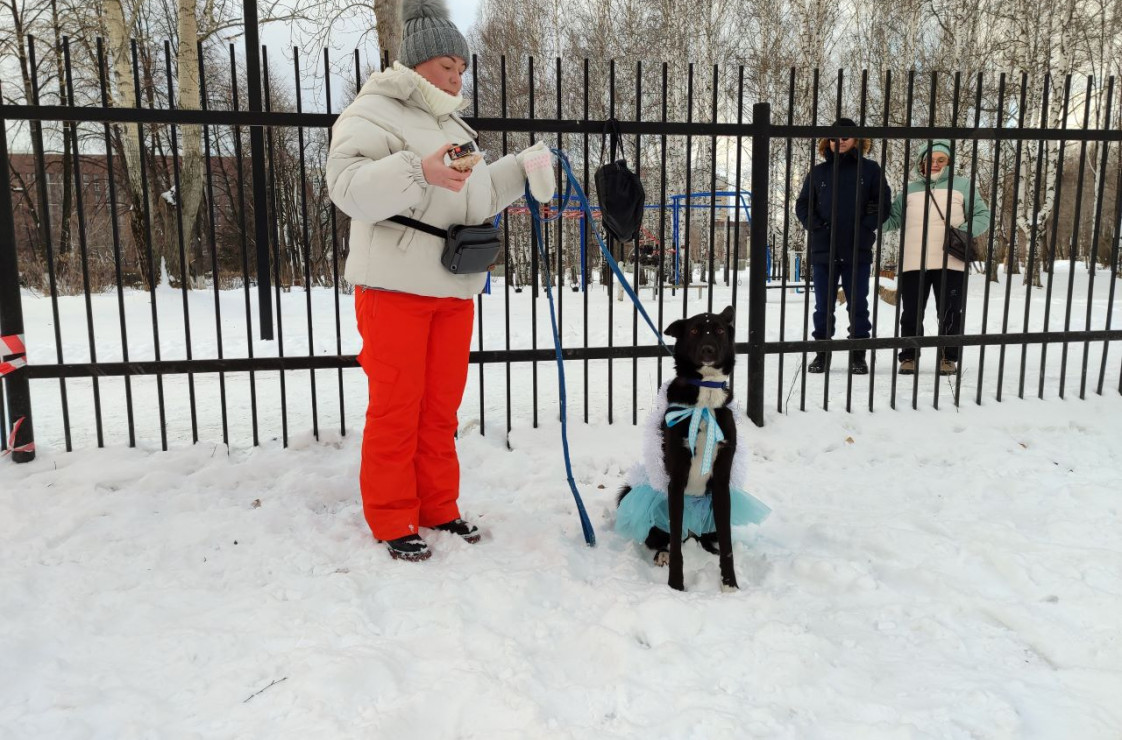 Фото Олега Губина