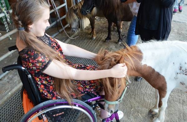 Ксения Каминская знакомится с пони, которые делают занятия в школе для детей с инвалидностью интересными