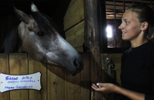 Арабская чистокровная лошадь Тайна получила травму ноги во время похищения и теперь восстанавливается в закрытой конюшне. Справа – администратор клуба «Тёмная лошадка» Дарья Найн
