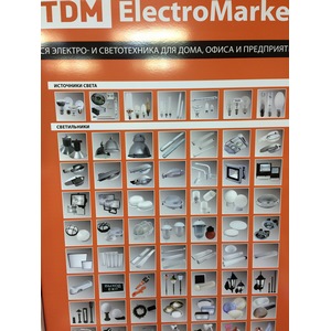 TDM ElectroMarket