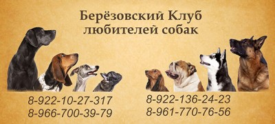 Берёзовский Клуб Любителей Собак
